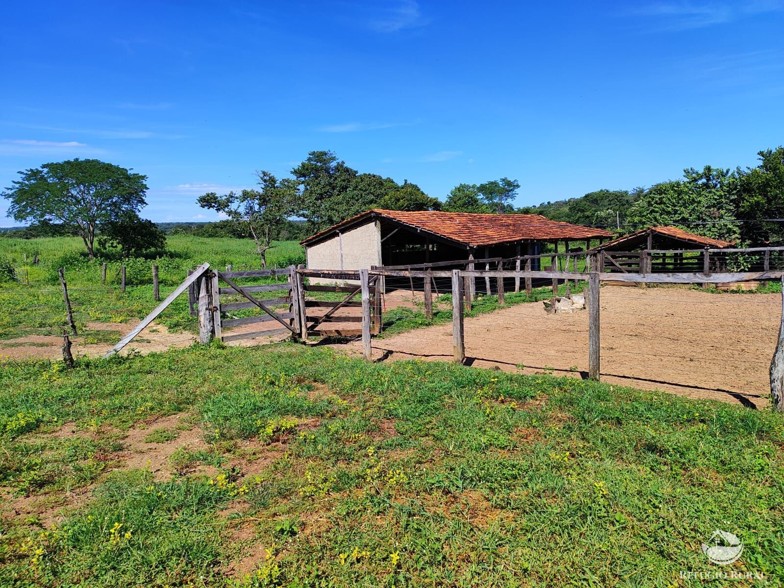 Fazenda, 1300 hectares - Foto 12