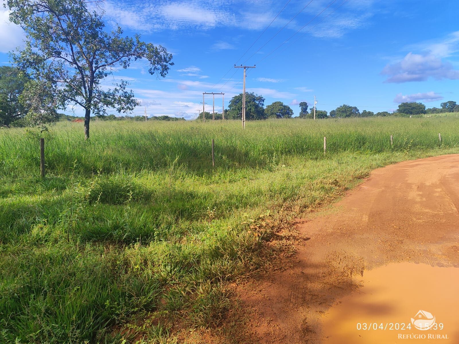 Fazenda, 1300 hectares - Foto 26