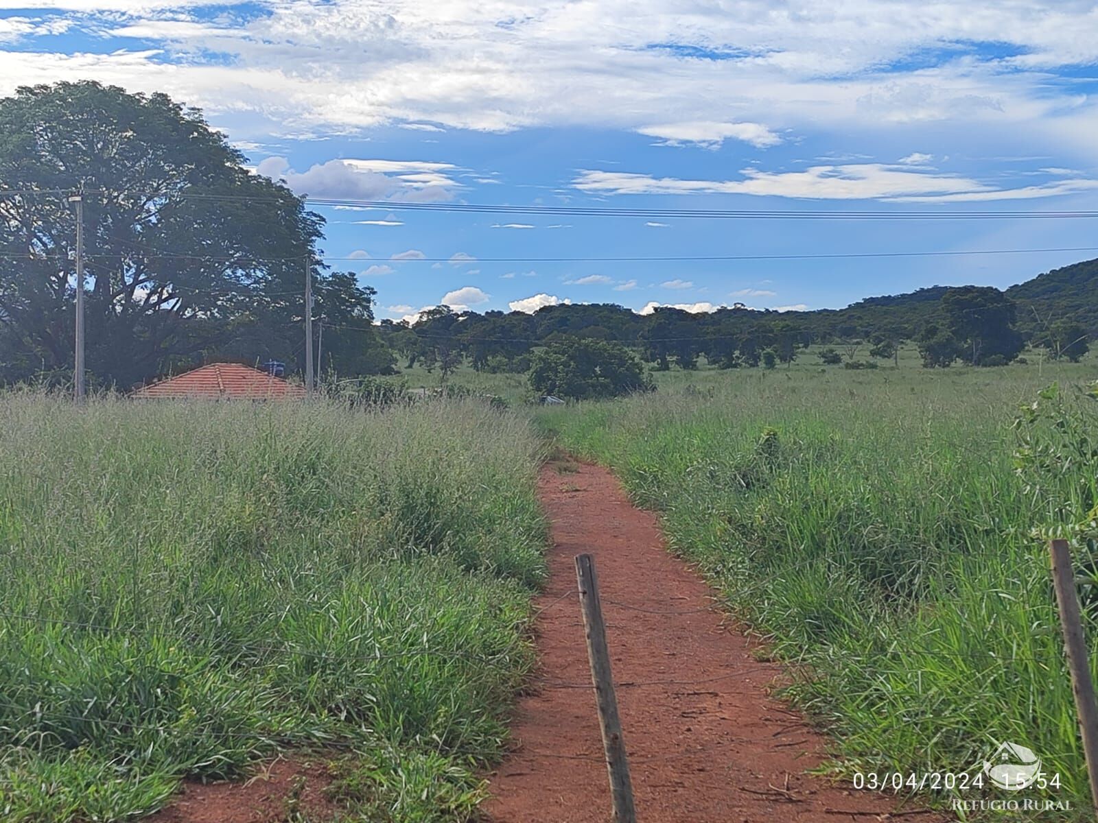 Fazenda, 1300 hectares - Foto 40