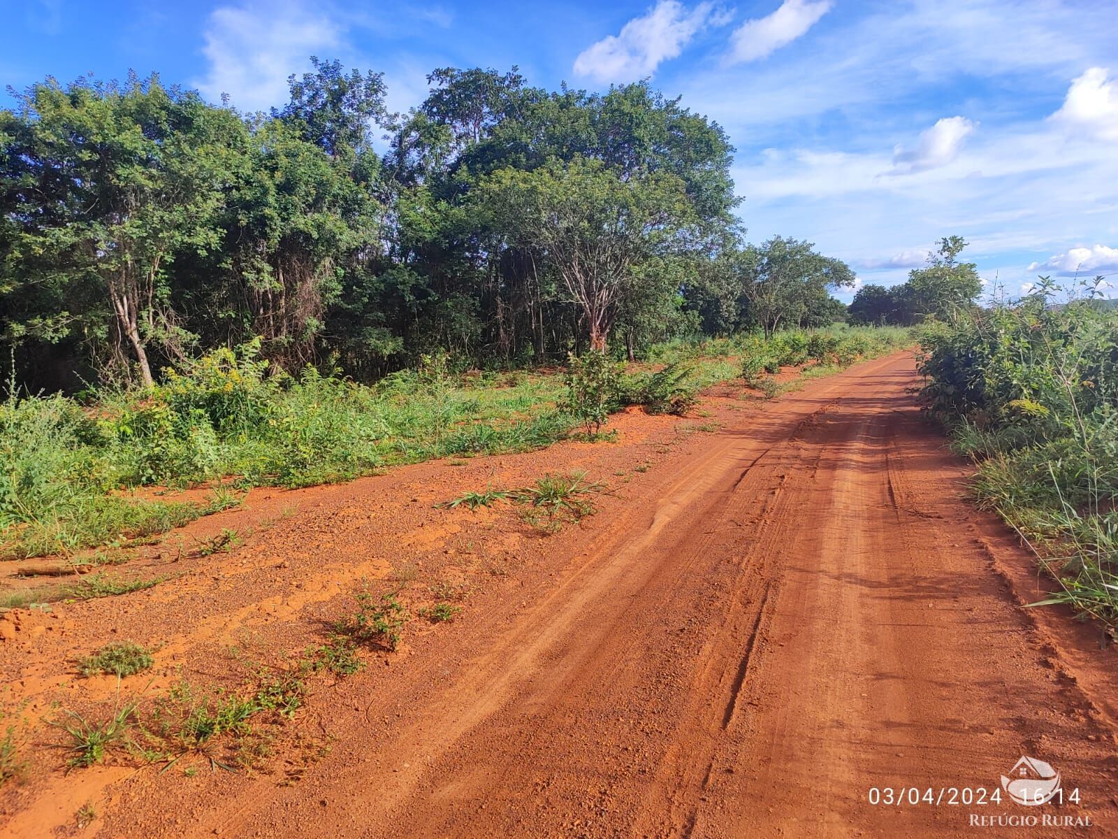 Fazenda, 1300 hectares - Foto 21