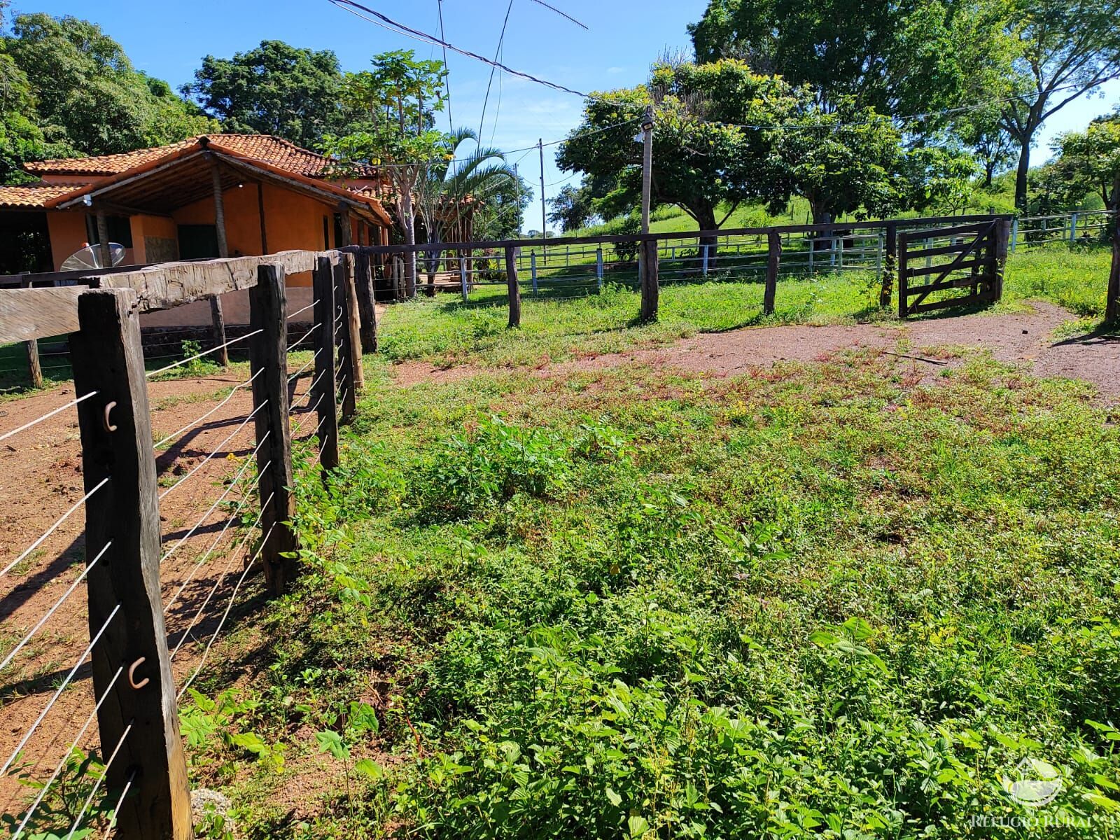 Fazenda, 1300 hectares - Foto 31