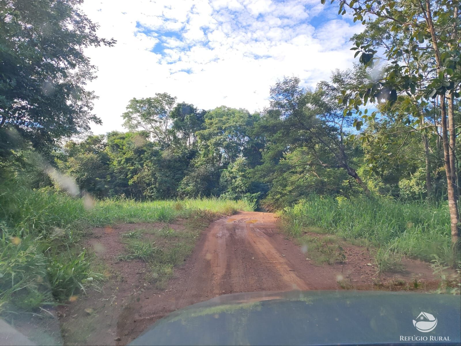Fazenda, 1300 hectares - Foto 19