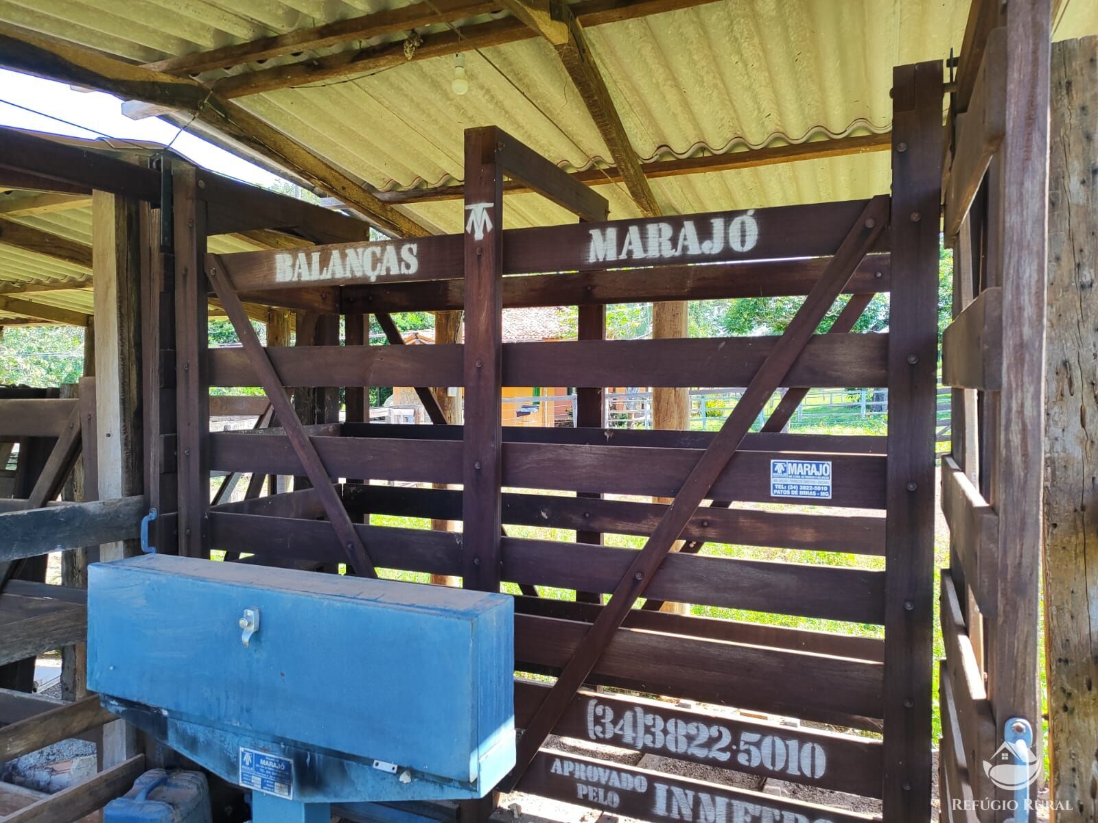 Fazenda, 1300 hectares - Foto 13