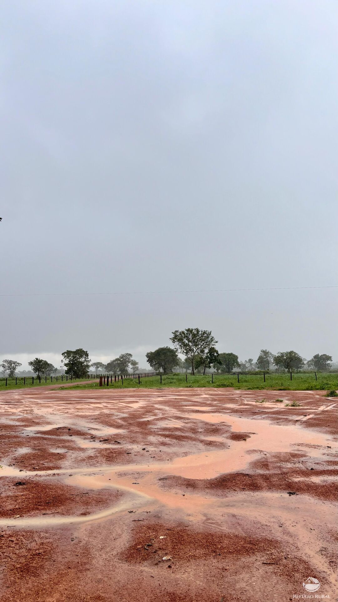 Fazenda à venda com 6 quartos, 17170000m² - Foto 4