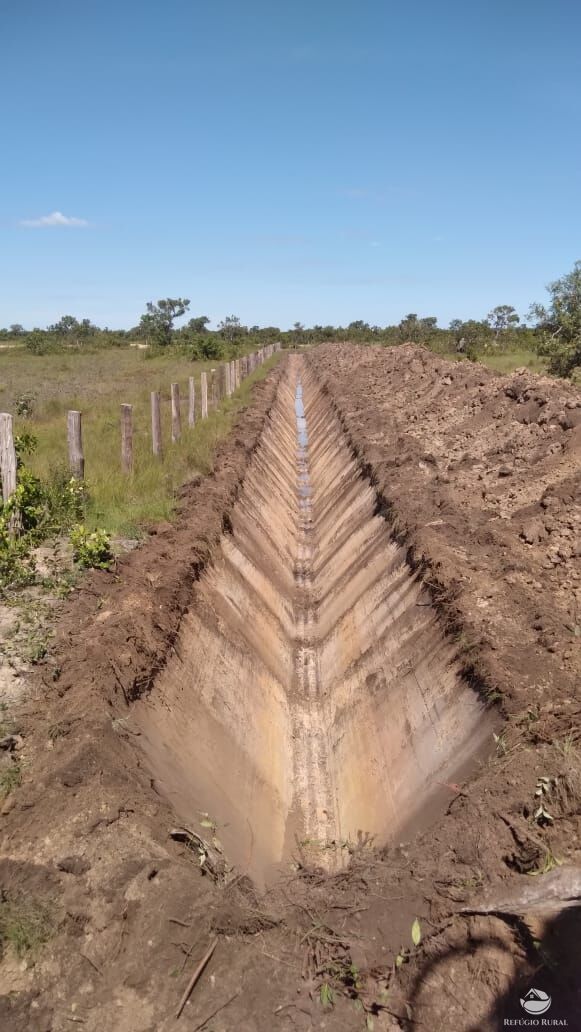 Fazenda à venda com 6 quartos, 17170000m² - Foto 11