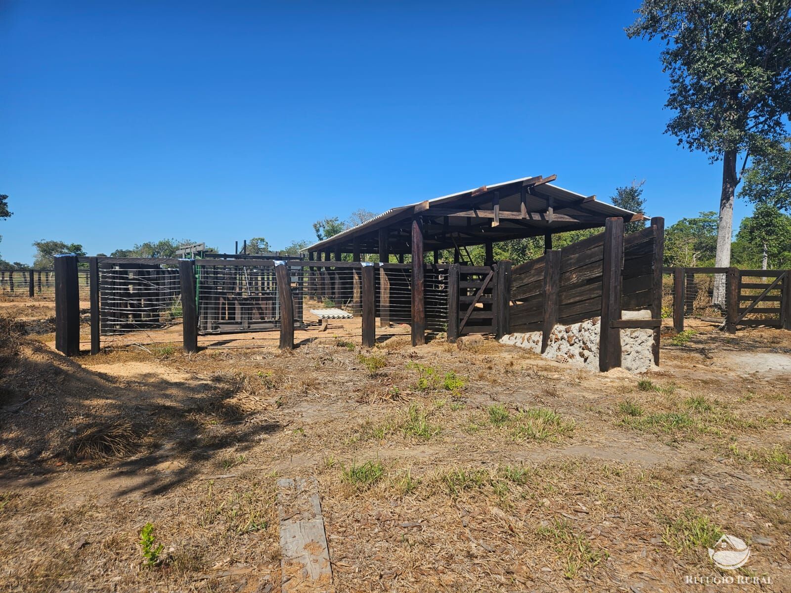 Fazenda à venda com 6 quartos, 17170000m² - Foto 1