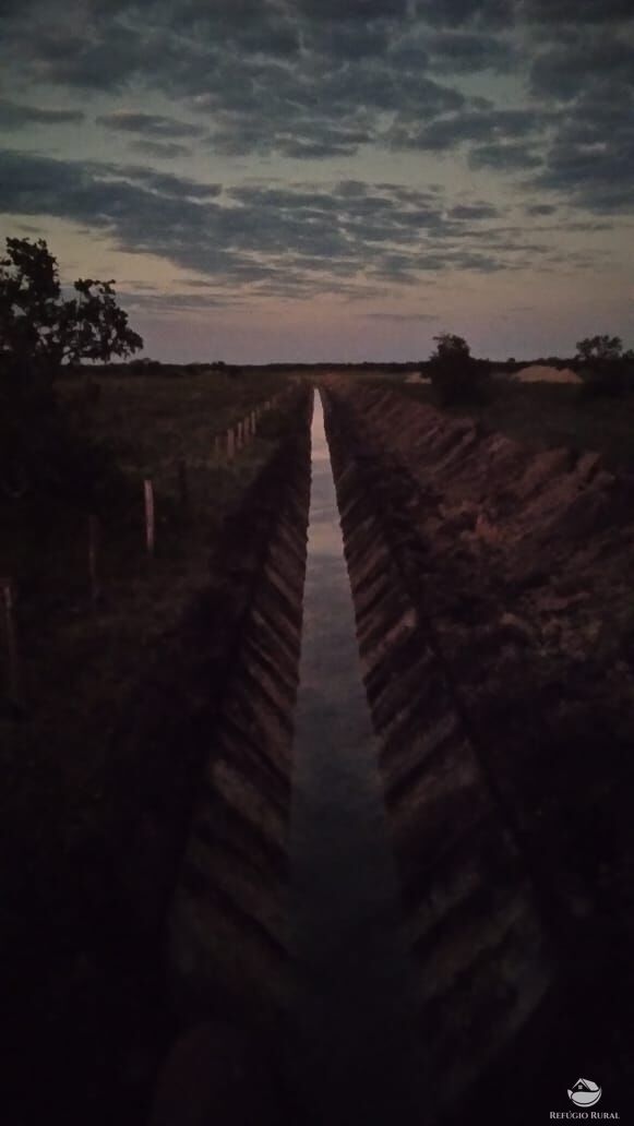 Fazenda à venda com 6 quartos, 17170000m² - Foto 10