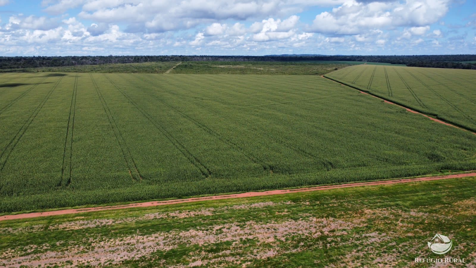 Fazenda à venda com 2 quartos, 48700000m² - Foto 4