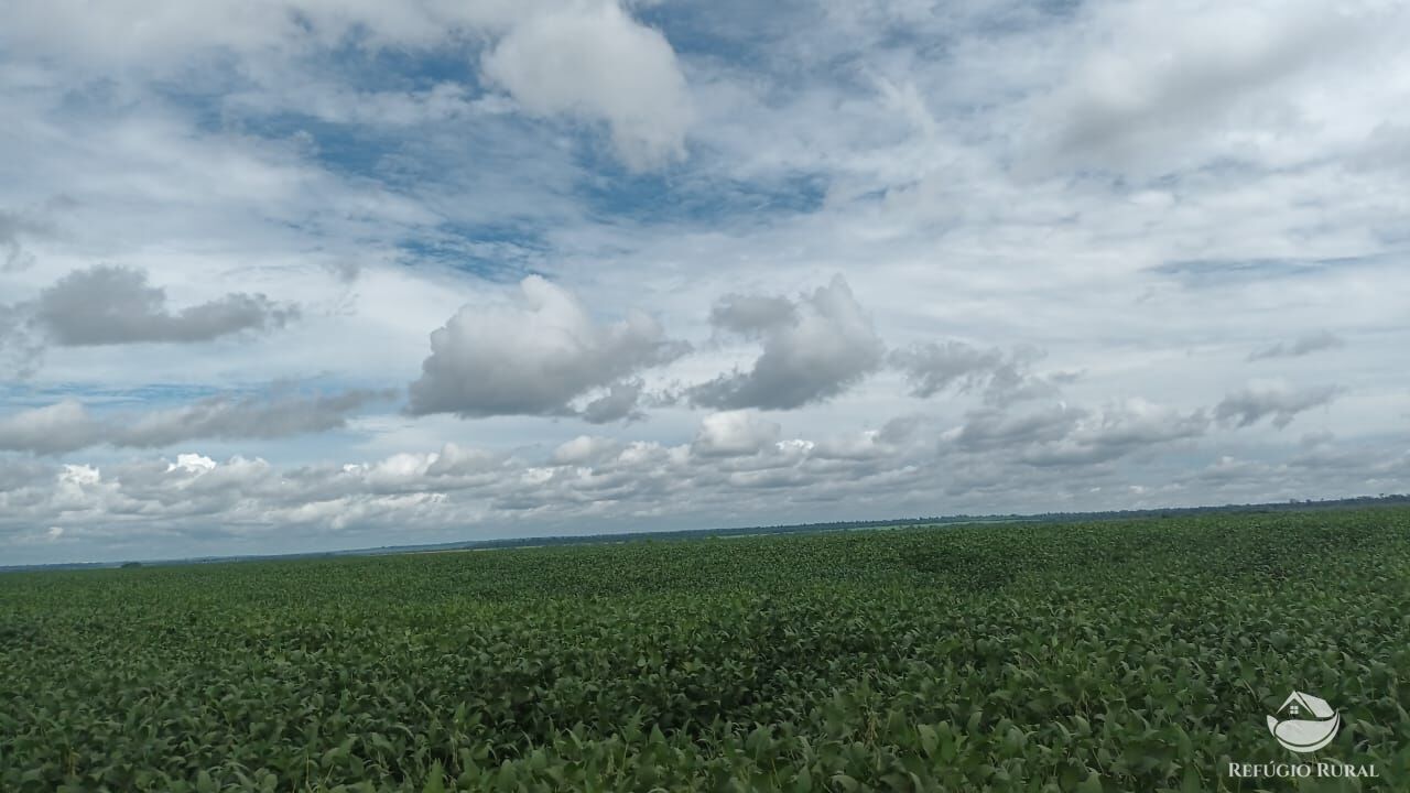 Fazenda à venda com 2 quartos, 48700000m² - Foto 3