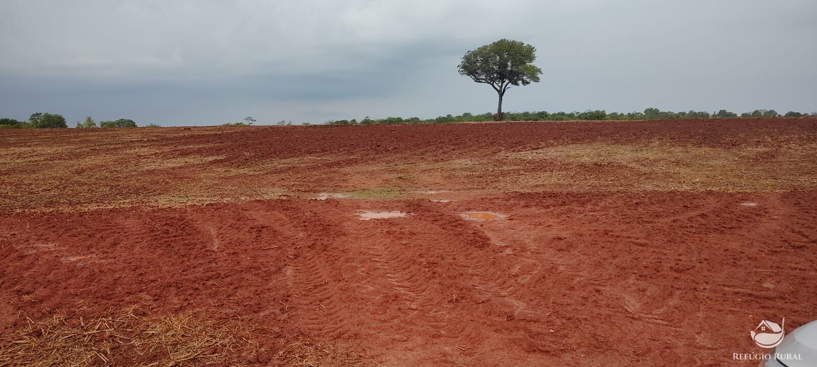 Fazenda à venda com 1 quarto, 32040000m² - Foto 20