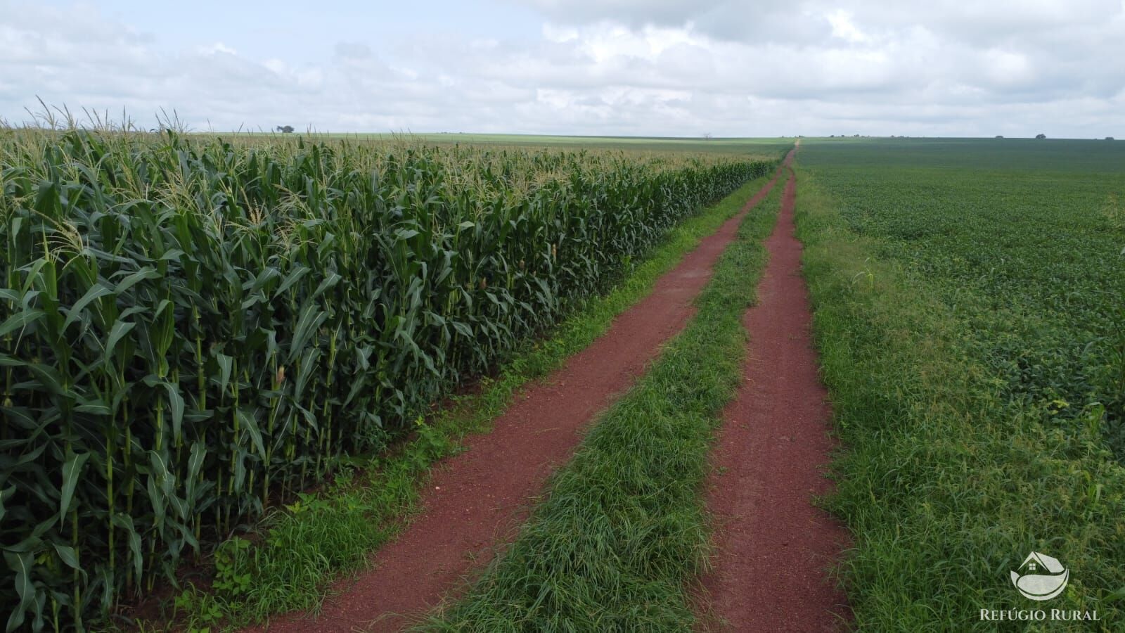 Fazenda à venda com 1 quarto, 32040000m² - Foto 5