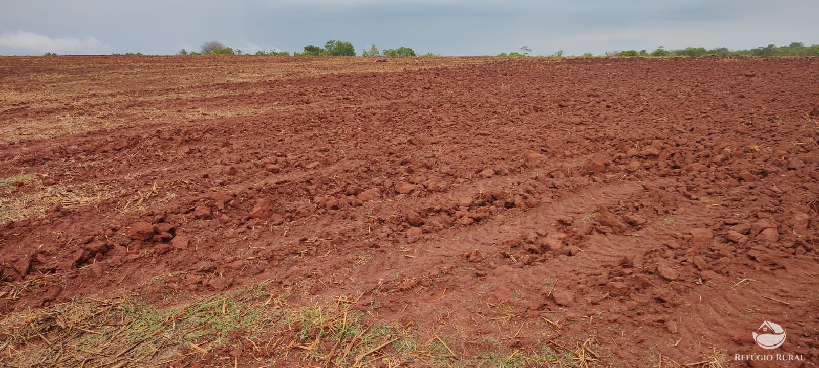 Fazenda à venda com 1 quarto, 32040000m² - Foto 26