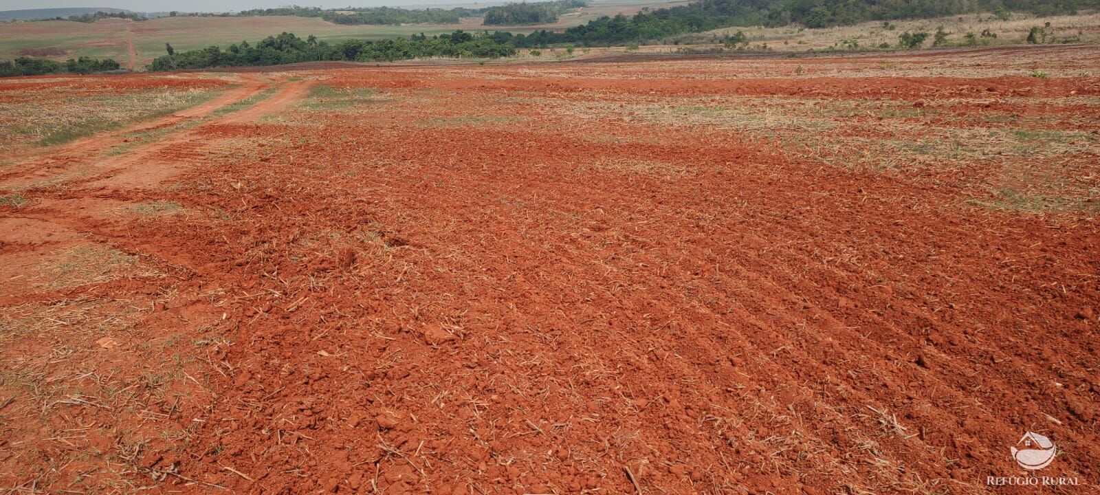 Fazenda à venda com 1 quarto, 32040000m² - Foto 40