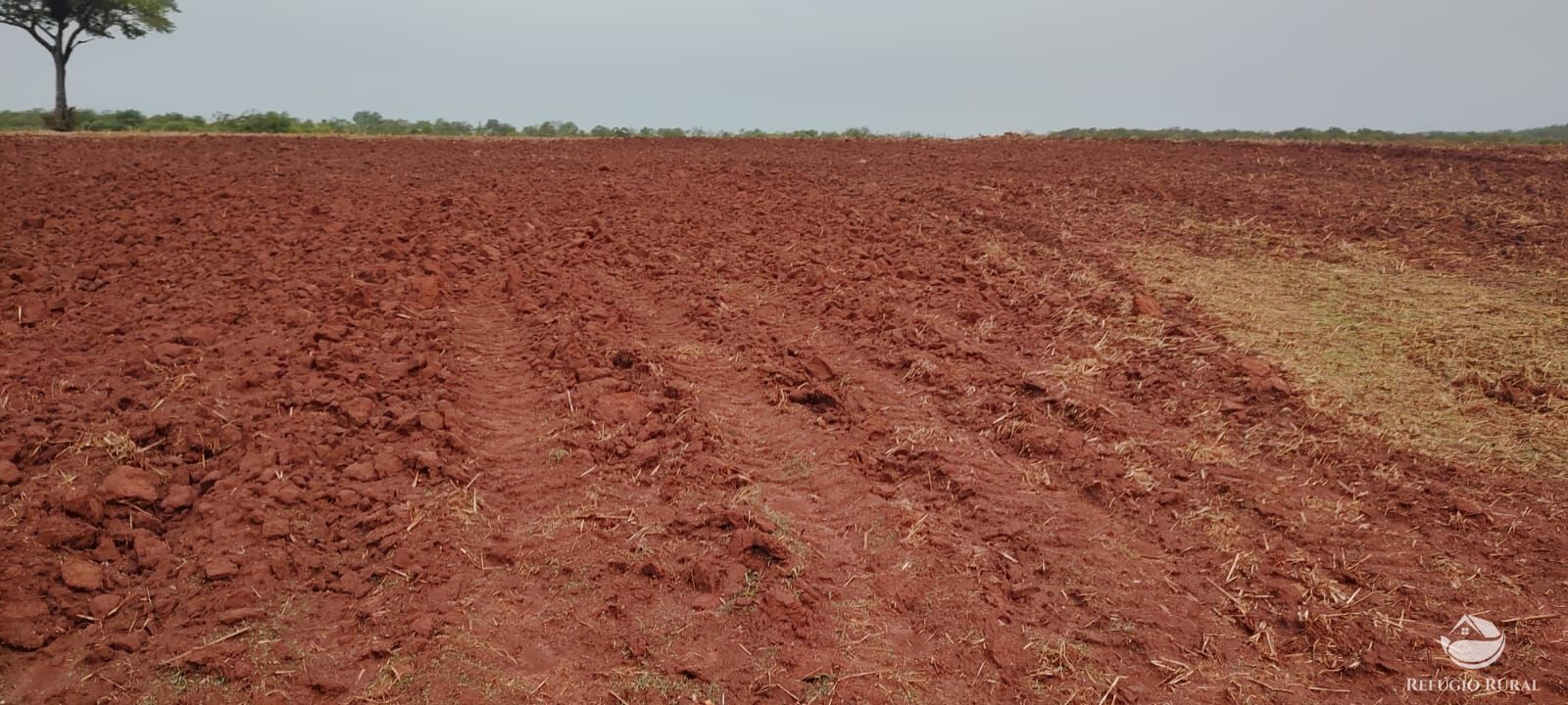 Fazenda à venda com 1 quarto, 32040000m² - Foto 25