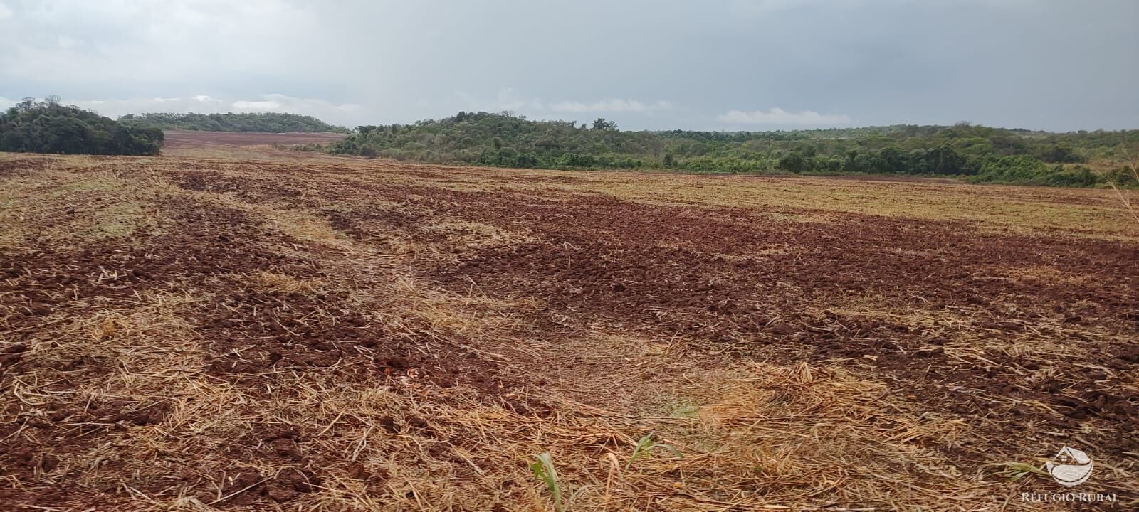 Fazenda à venda com 1 quarto, 32040000m² - Foto 15