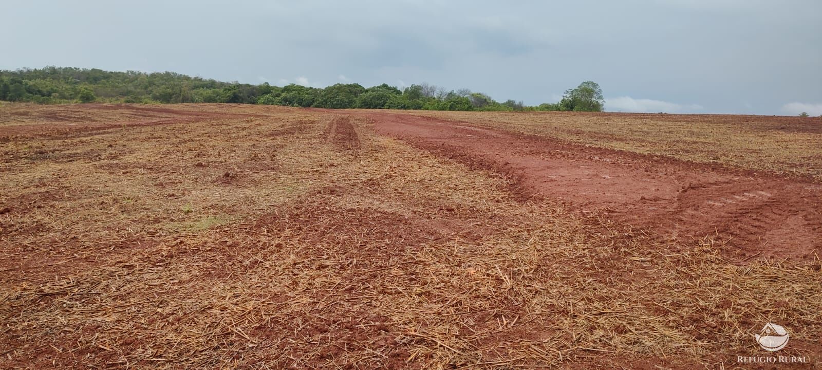 Fazenda à venda com 1 quarto, 32040000m² - Foto 8