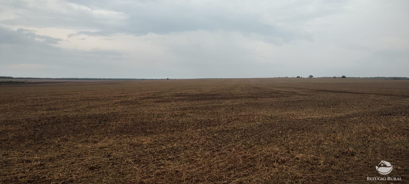 Fazenda à venda com 1 quarto, 32040000m² - Foto 30