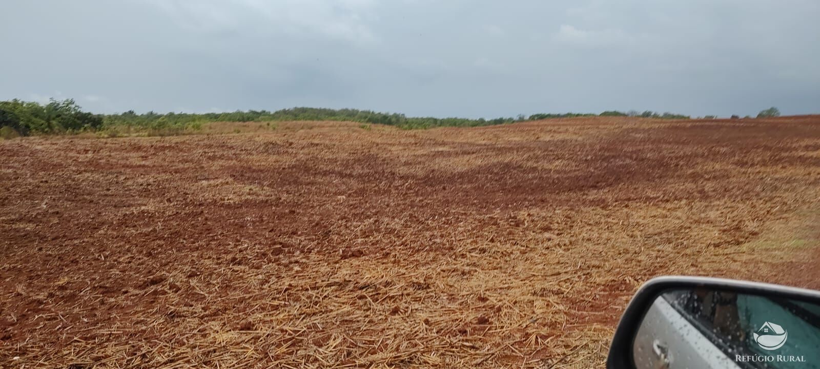 Fazenda à venda com 1 quarto, 32040000m² - Foto 17