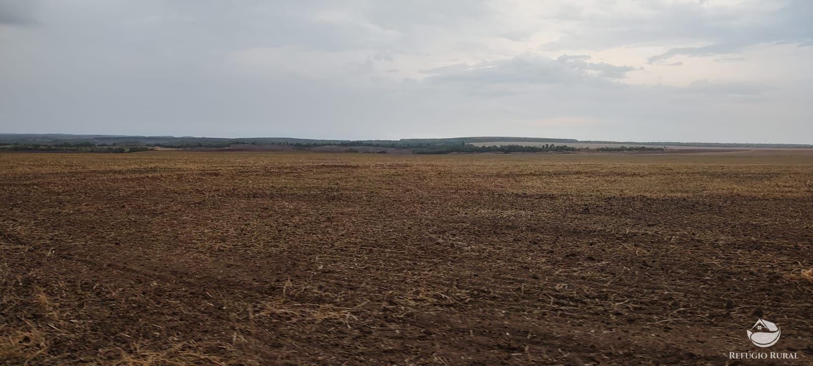 Fazenda à venda com 1 quarto, 32040000m² - Foto 29