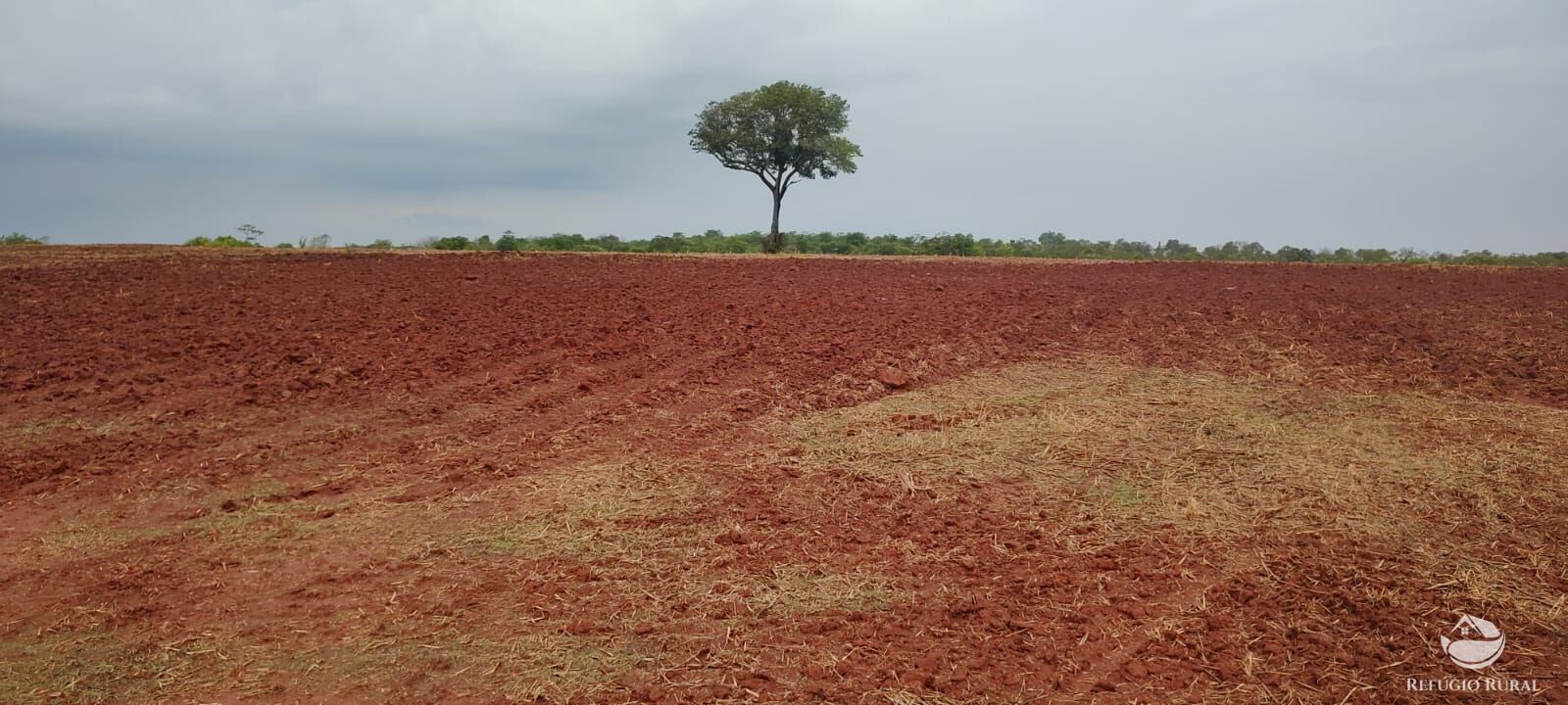 Fazenda à venda com 1 quarto, 32040000m² - Foto 24