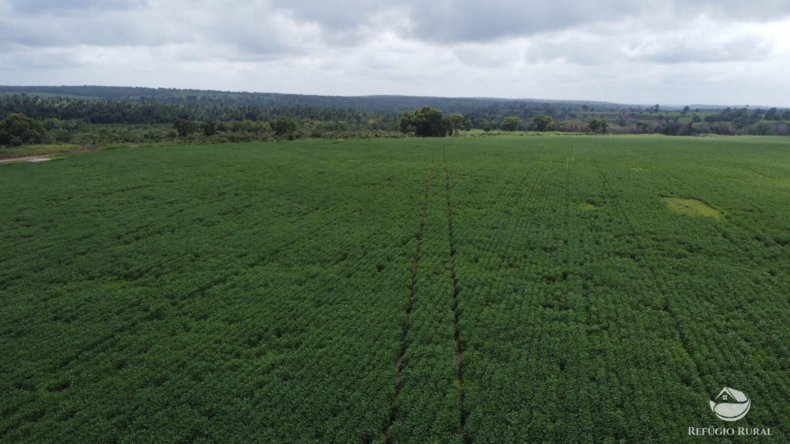 Fazenda à venda com 1 quarto, 32040000m² - Foto 34