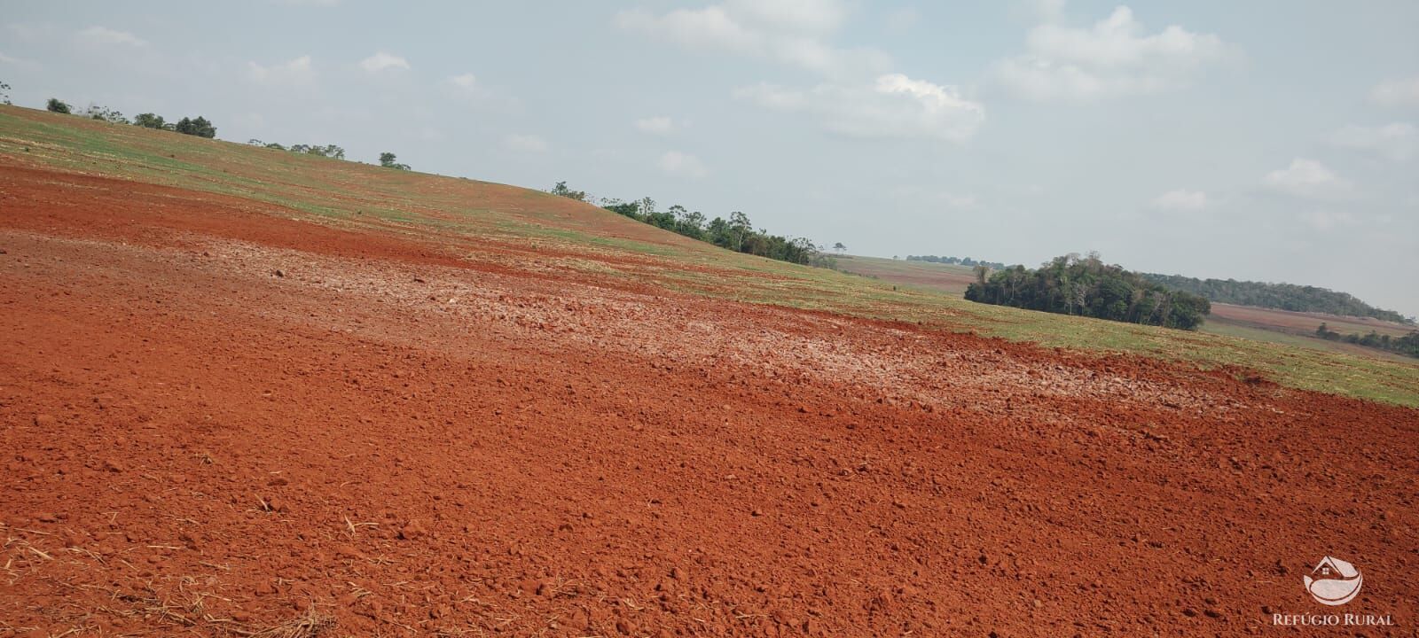 Fazenda à venda com 1 quarto, 32040000m² - Foto 41