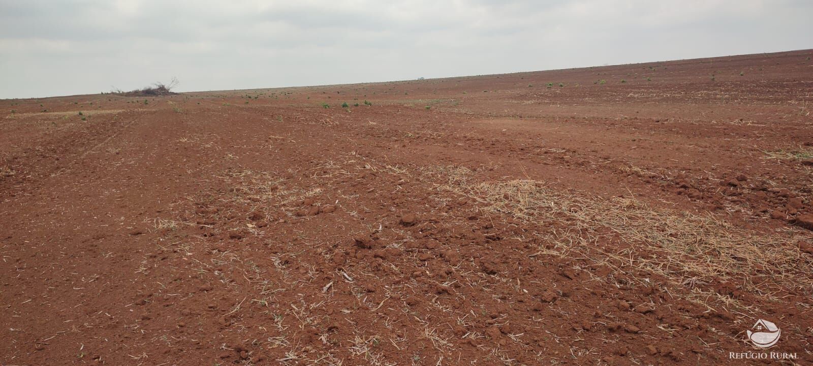 Fazenda à venda com 1 quarto, 32040000m² - Foto 14