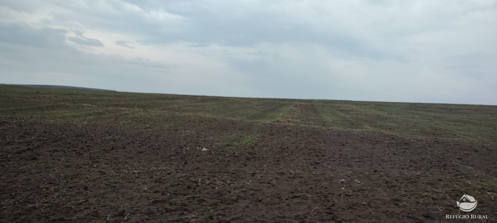 Fazenda à venda com 1 quarto, 32040000m² - Foto 10