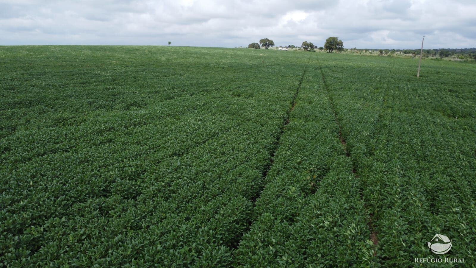 Fazenda à venda com 1 quarto, 32040000m² - Foto 37