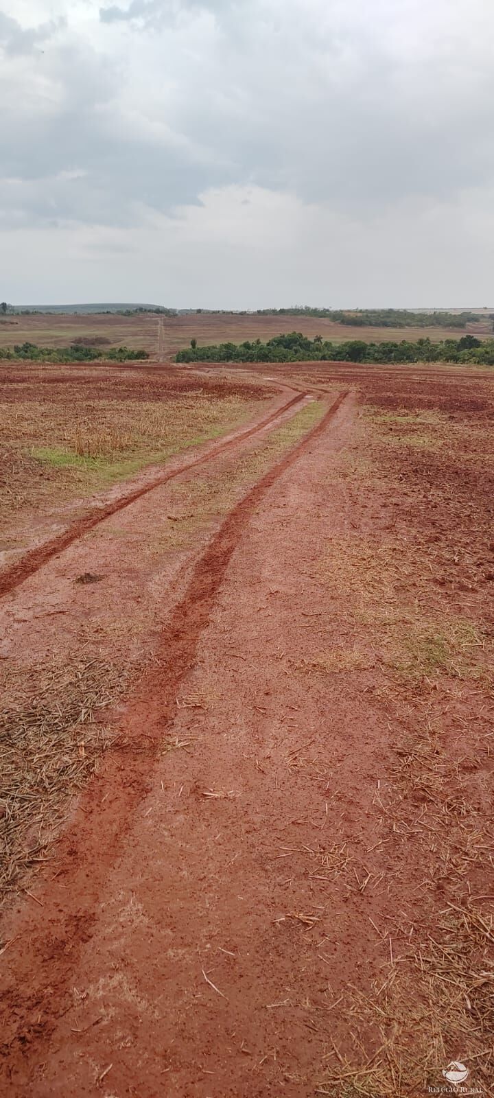 Fazenda à venda com 1 quarto, 32040000m² - Foto 22