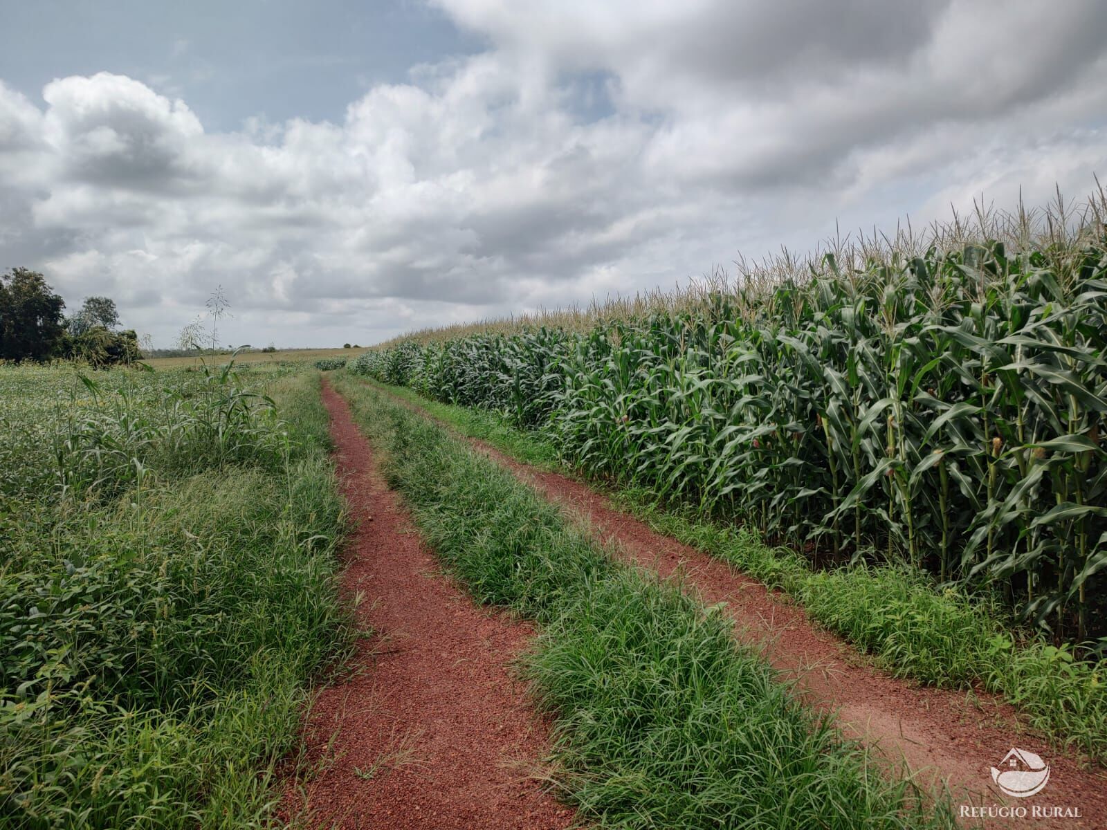 Fazenda à venda com 1 quarto, 32040000m² - Foto 38