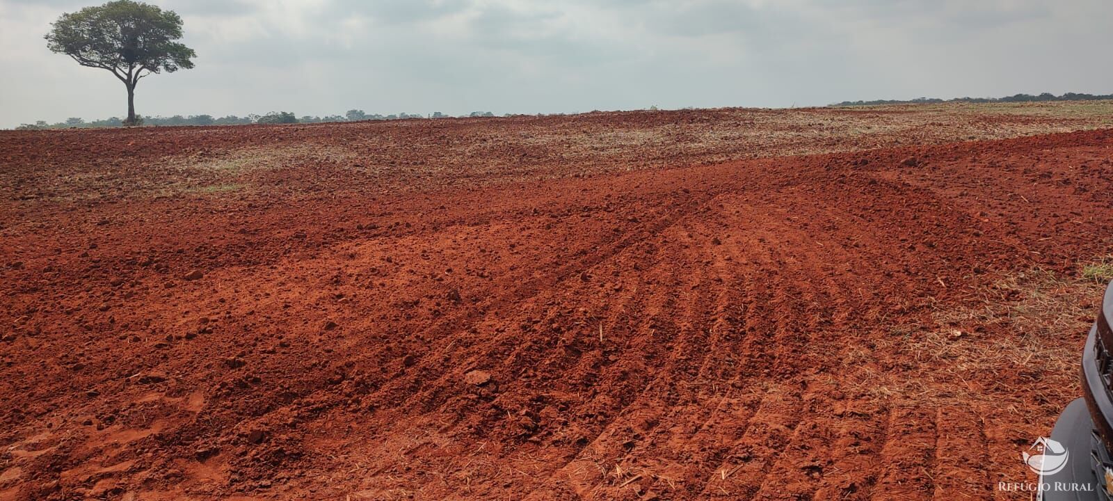 Fazenda à venda com 1 quarto, 32040000m² - Foto 4