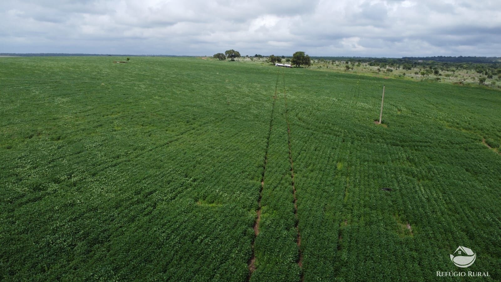 Fazenda à venda com 1 quarto, 32040000m² - Foto 35