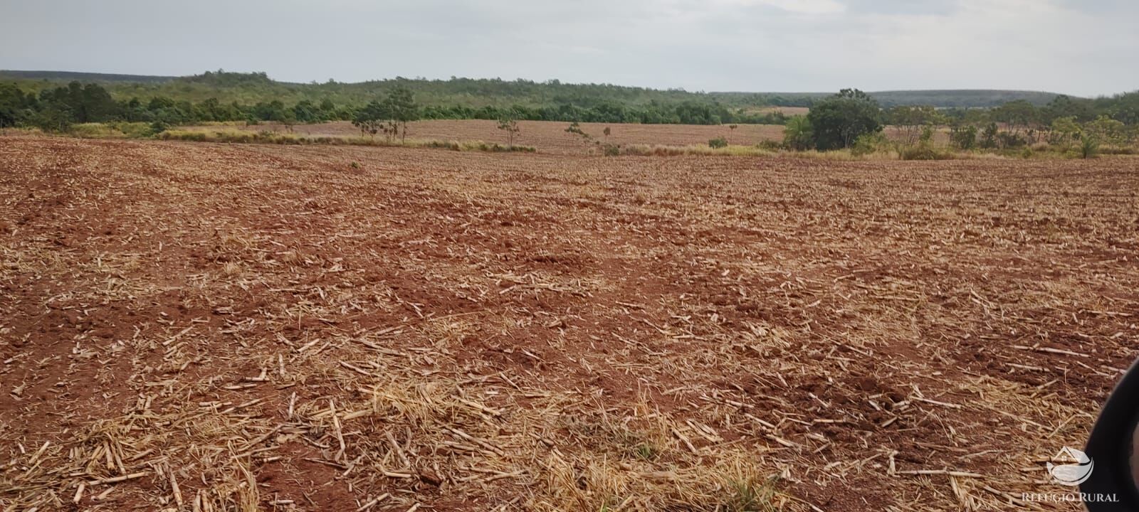 Fazenda à venda com 1 quarto, 32040000m² - Foto 27