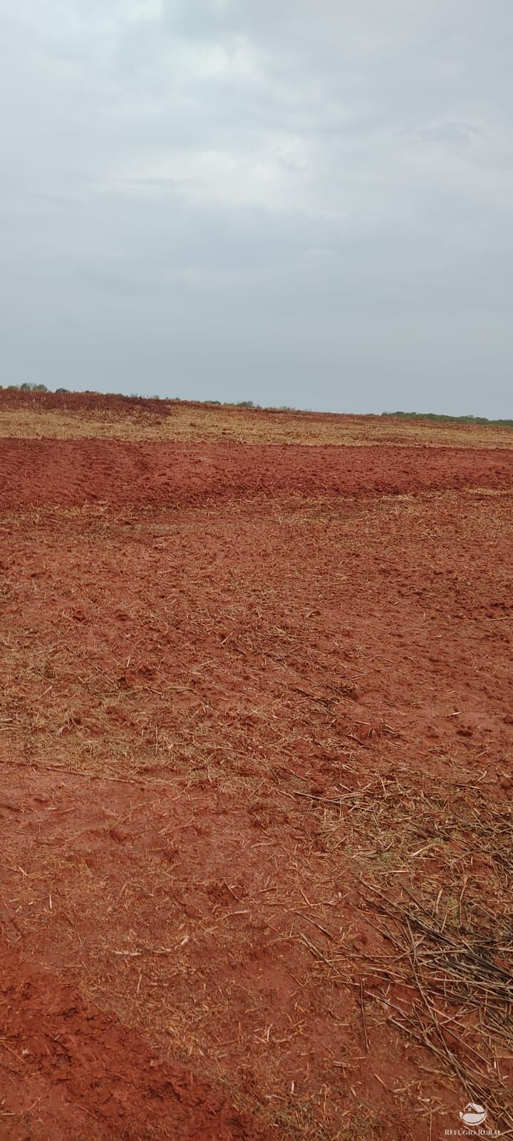 Fazenda à venda com 1 quarto, 32040000m² - Foto 23