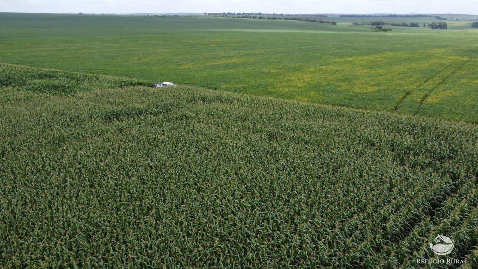 Fazenda à venda com 1 quarto, 32040000m² - Foto 13