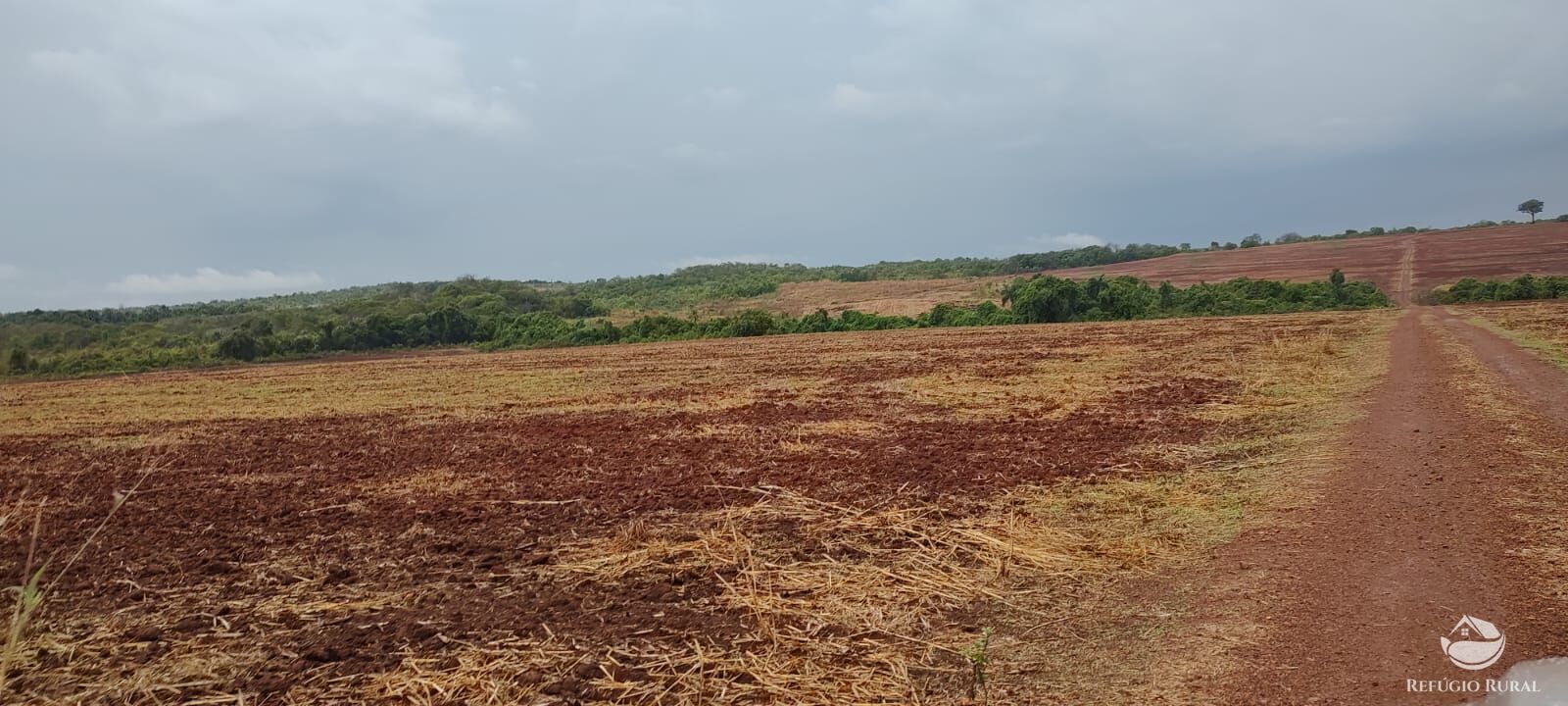 Fazenda à venda com 1 quarto, 32040000m² - Foto 16