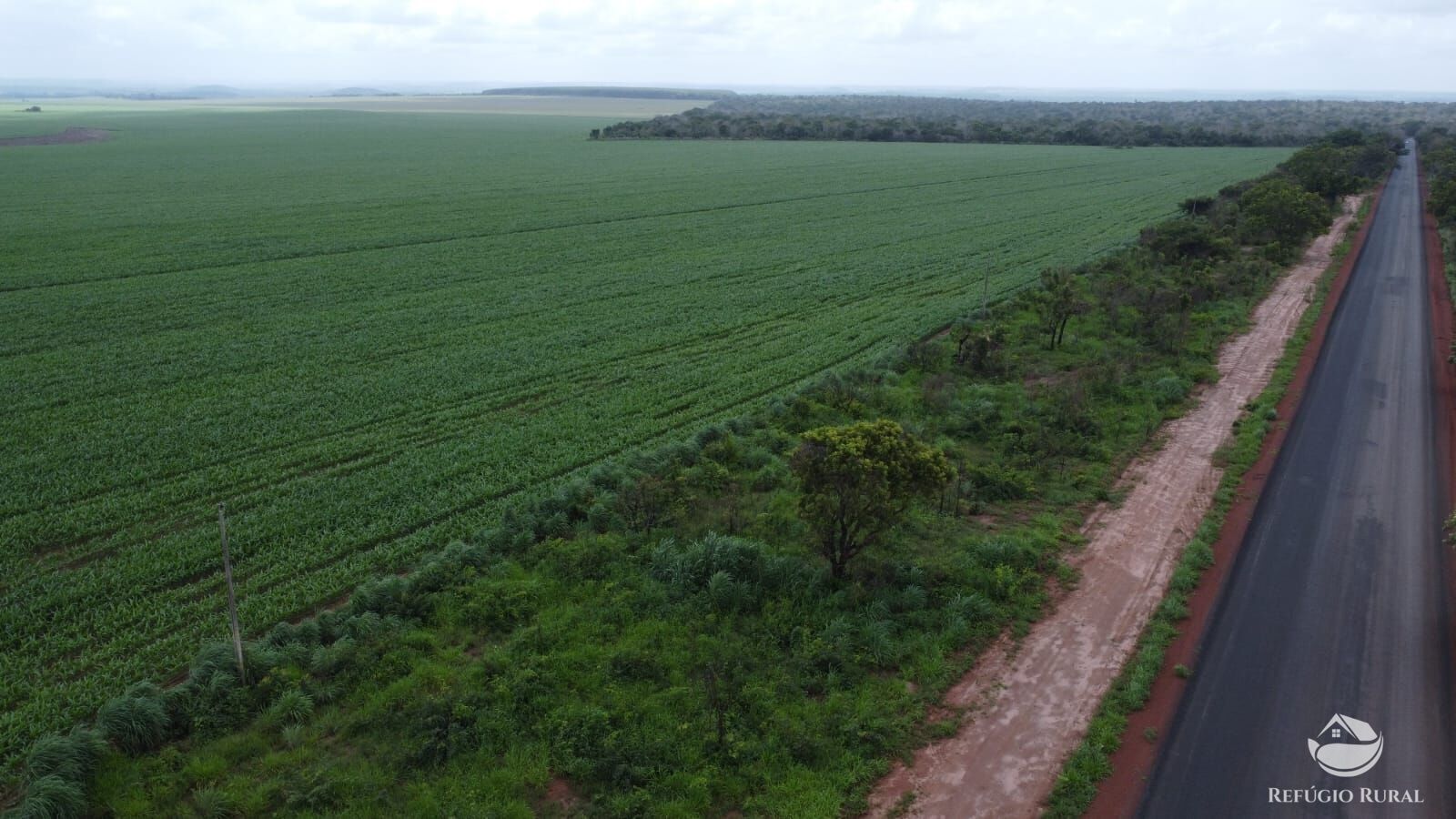 Fazenda à venda com 1 quarto, 32040000m² - Foto 36