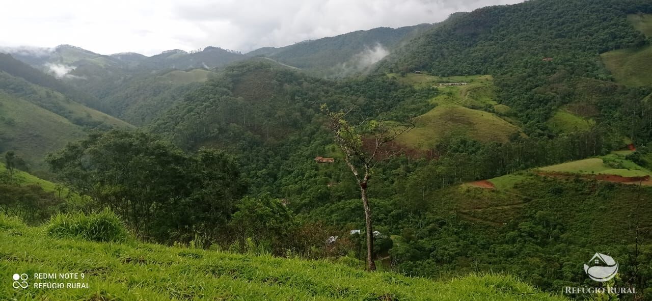 Fazenda à venda com 1 quarto, 145200m² - Foto 5