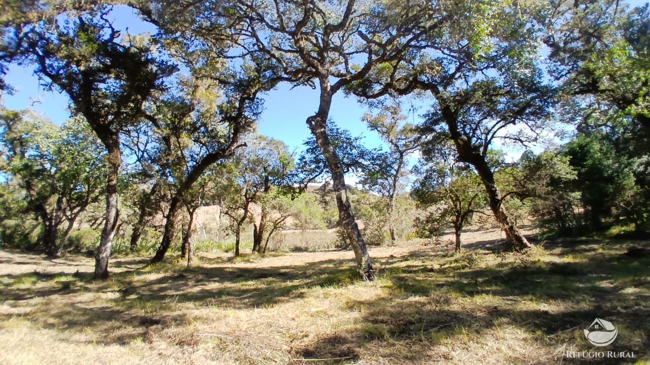 Sítio, 2 quartos, 10 hectares - Foto 3