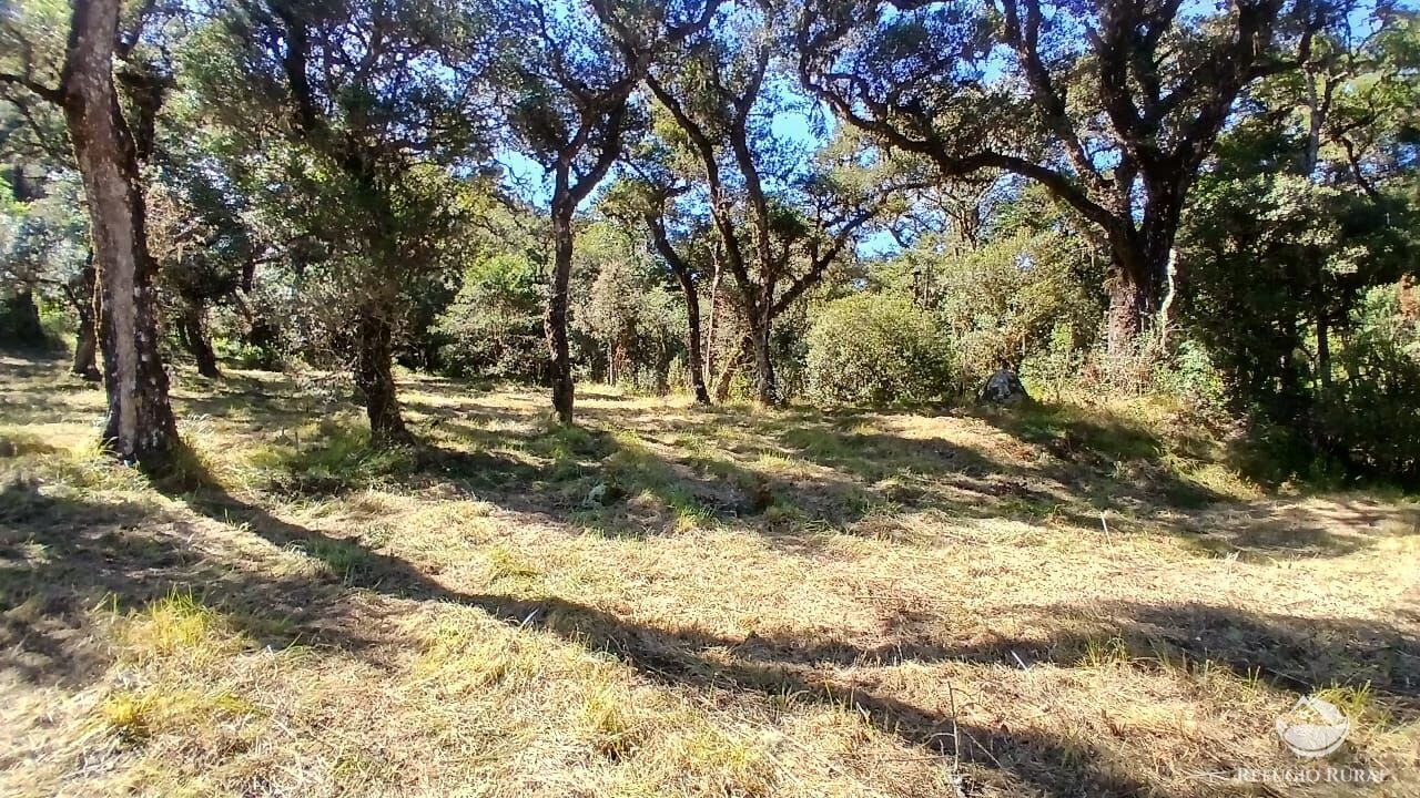 Sítio, 2 quartos, 10 hectares - Foto 4