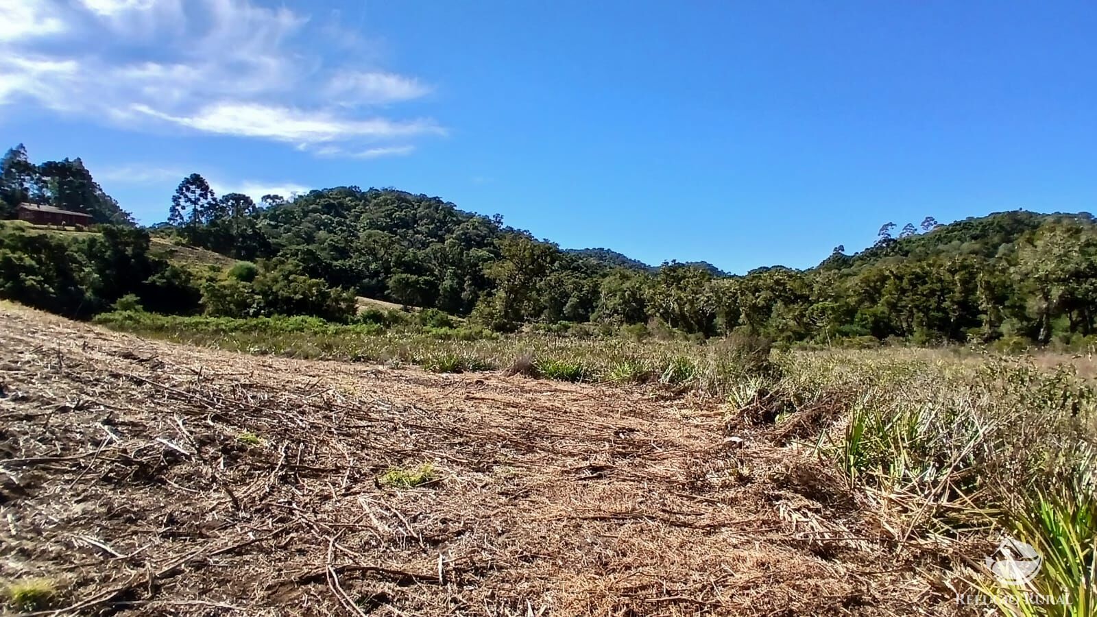 Sítio, 2 quartos, 10 hectares - Foto 26