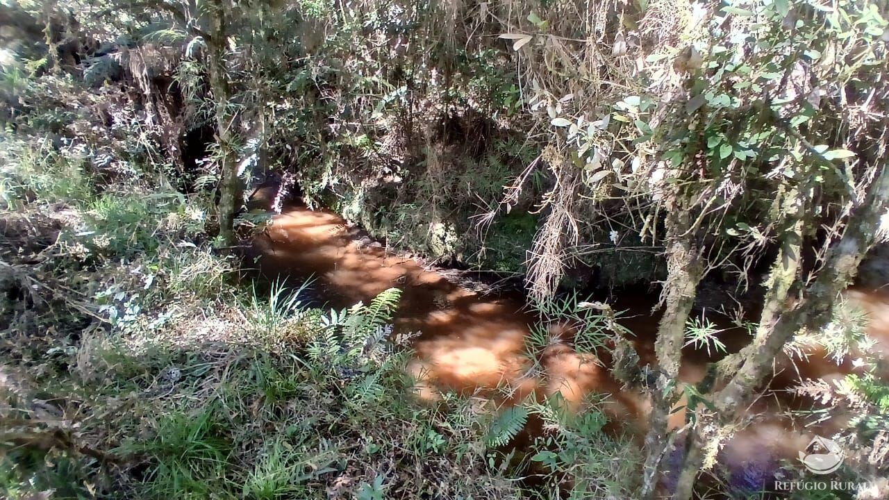 Sítio, 2 quartos, 10 hectares - Foto 18