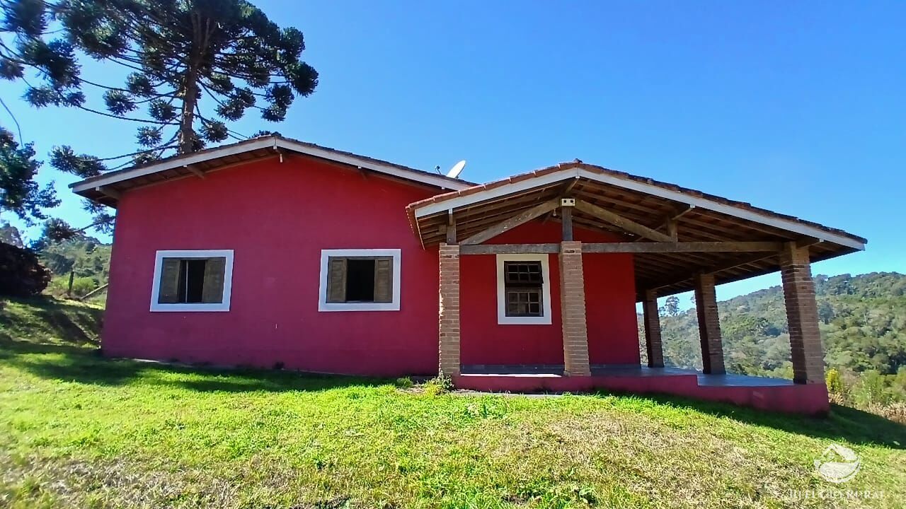 Sítio, 2 quartos, 10 hectares - Foto 1