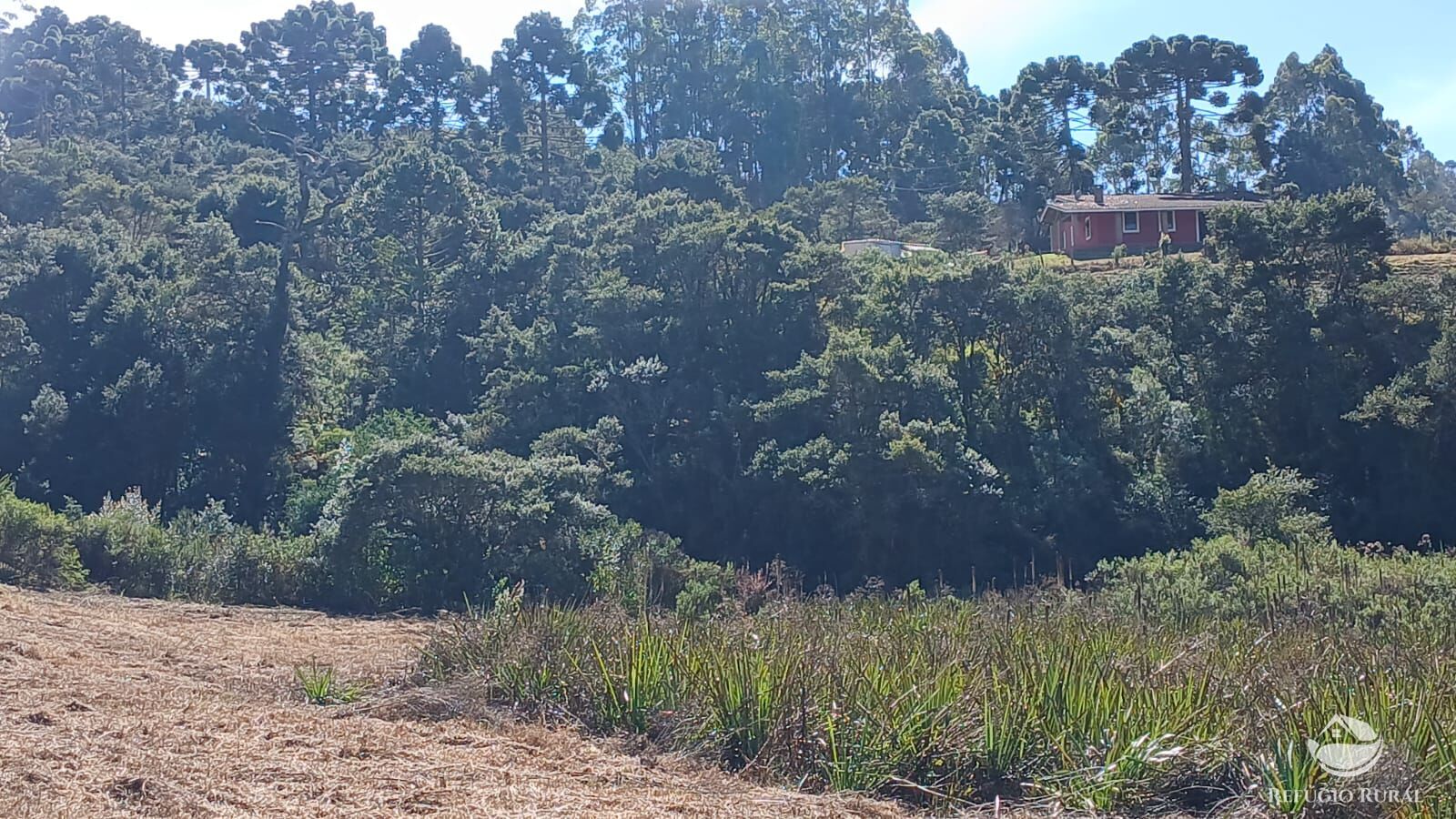 Sítio, 2 quartos, 10 hectares - Foto 25