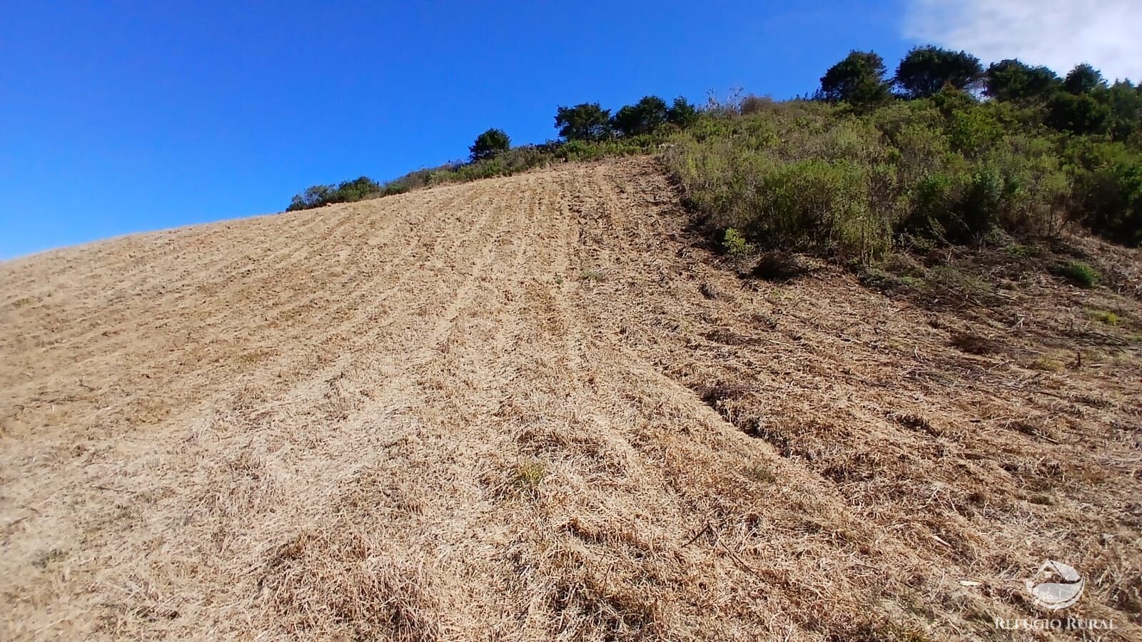 Sítio, 2 quartos, 10 hectares - Foto 23