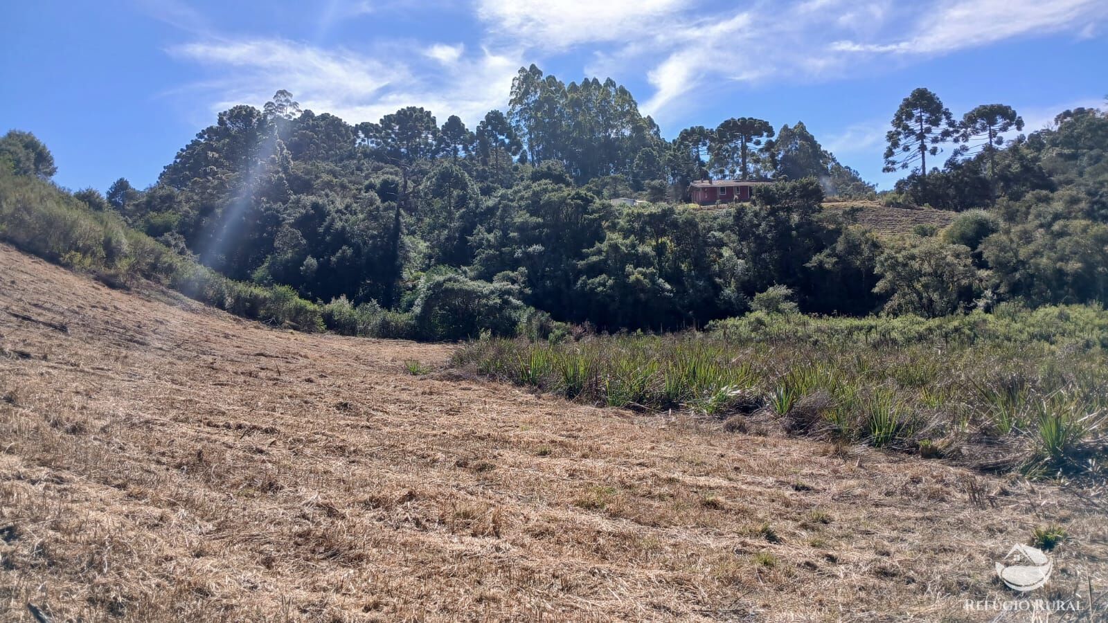 Sítio, 2 quartos, 10 hectares - Foto 24