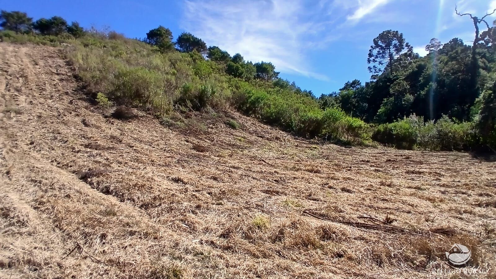 Sítio, 2 quartos, 10 hectares - Foto 22