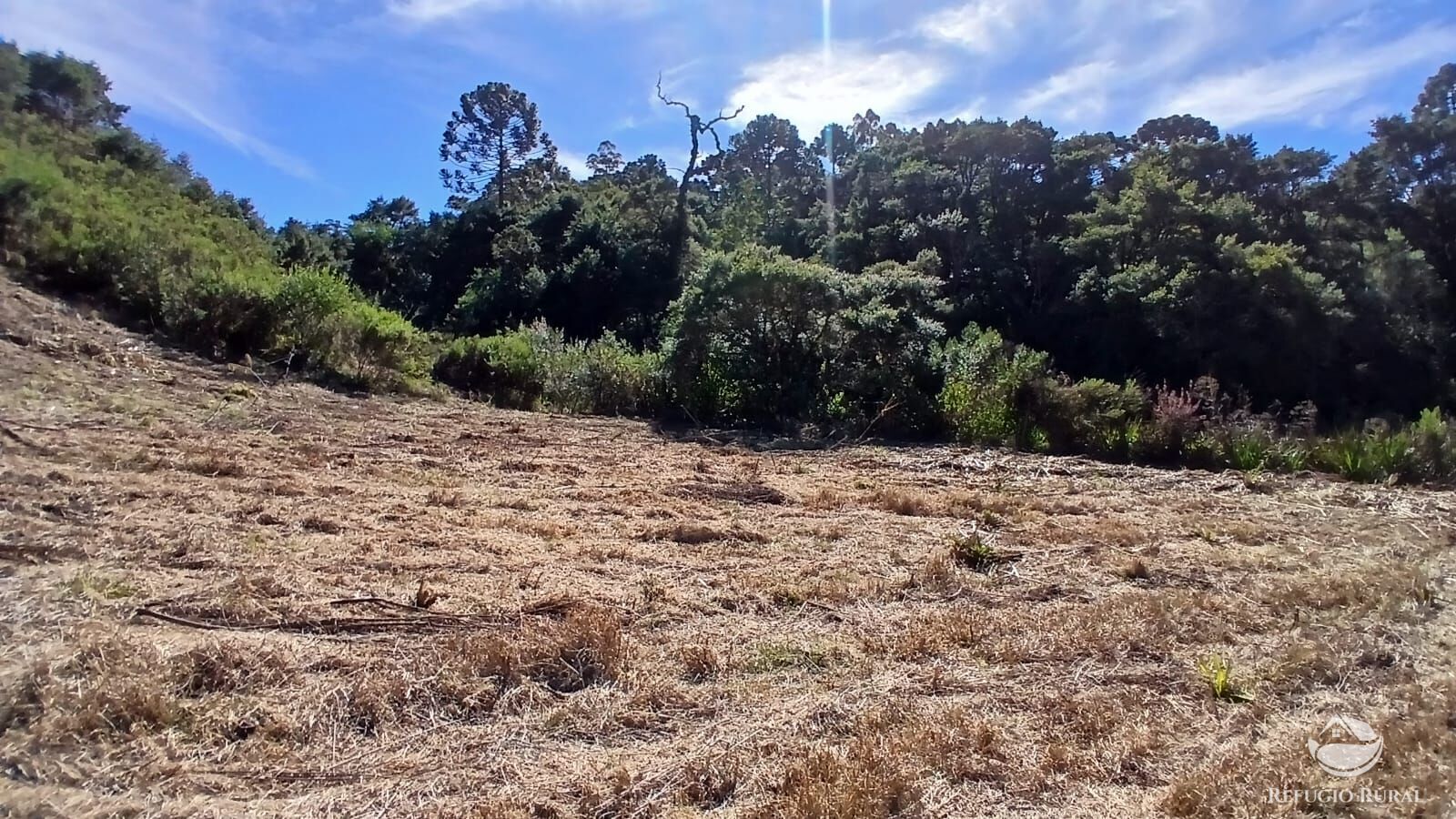 Sítio, 2 quartos, 10 hectares - Foto 6