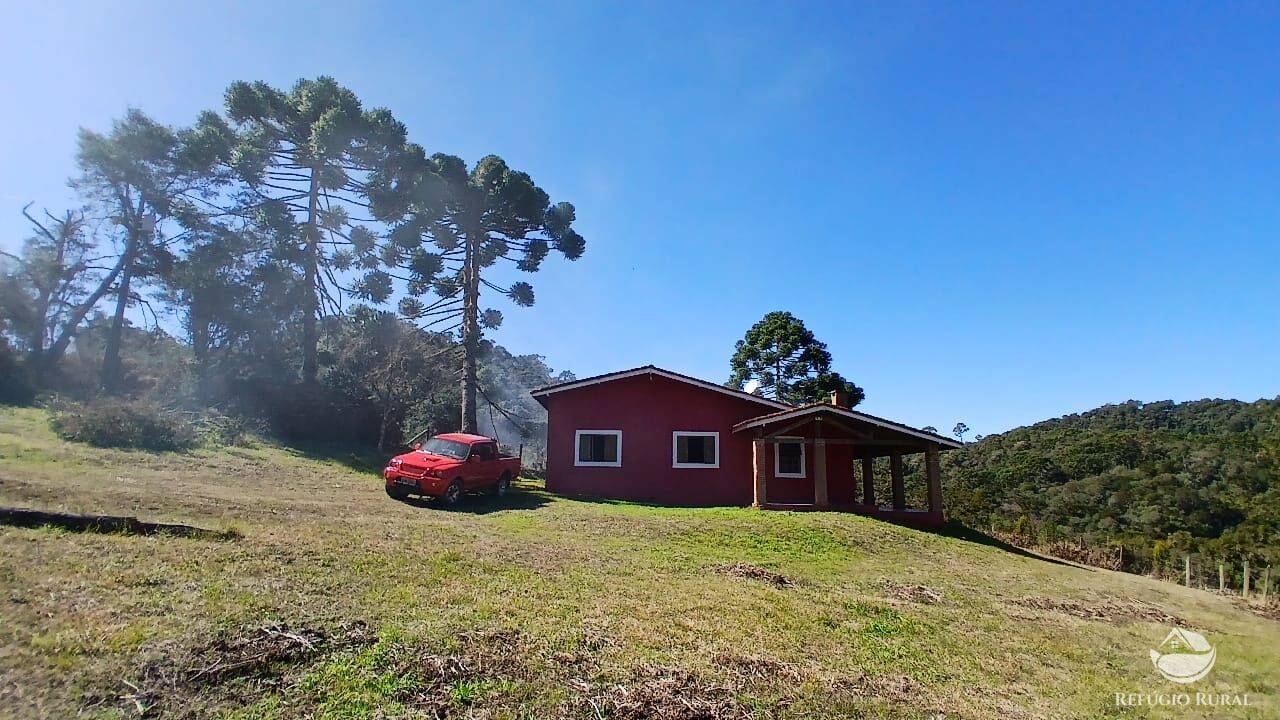 Sítio, 2 quartos, 10 hectares - Foto 2